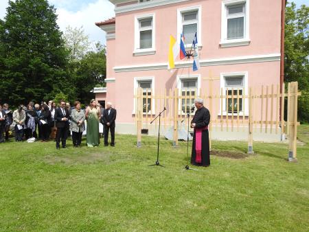 Slavnostno zasadili cepljenko najstarejše vinske trte na svetu 30